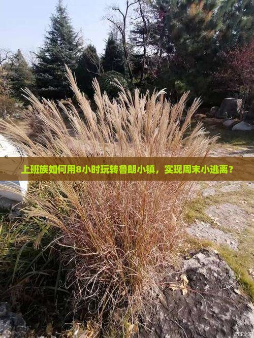 上班族如何用8小时玩转鲁朗小镇，实现周末小逃离？