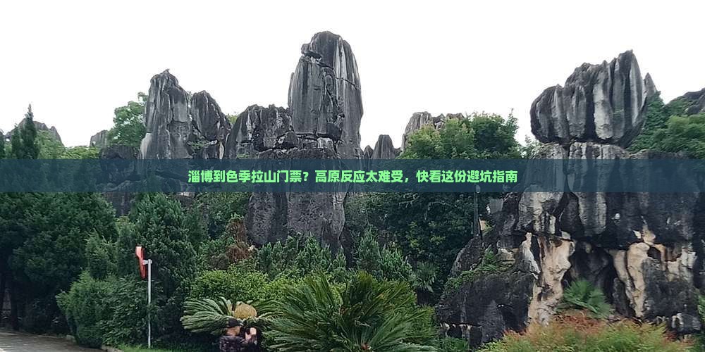 淄博到色季拉山门票？高原反应太难受，快看这份避坑指南
