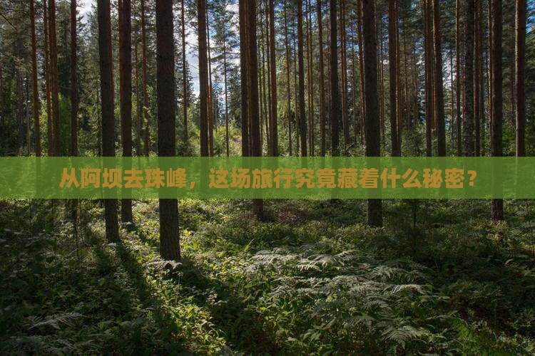 从阿坝去珠峰，这场旅行究竟藏着什么秘密？
