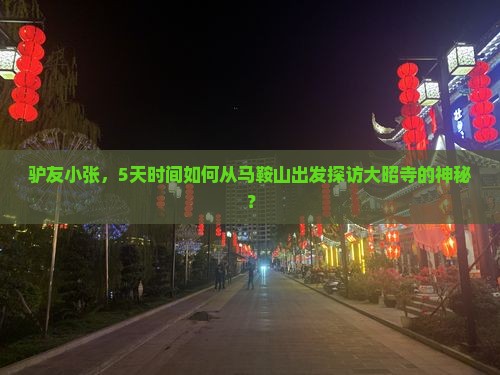 驴友小张，5天时间如何从马鞍山出发探访大昭寺的神秘？