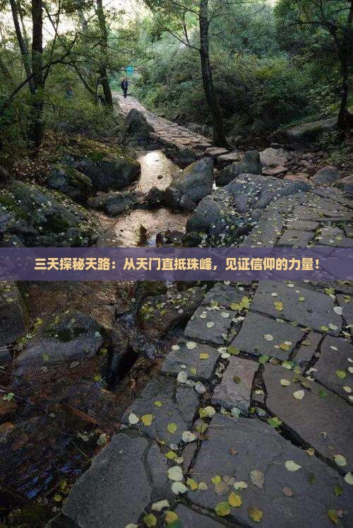 三天探秘天路：从天门直抵珠峰，见证信仰的力量！