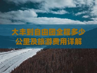 大丰到自由团全程多少公里及旅游费用详解