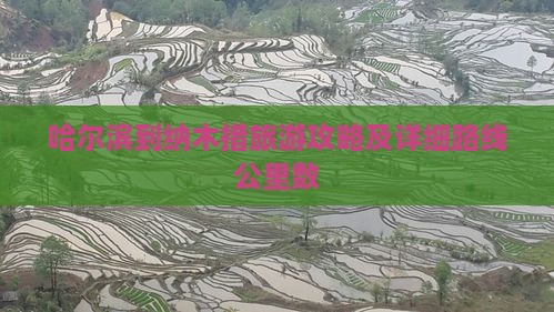 哈尔滨到纳木措旅游攻略及详细路线公里数