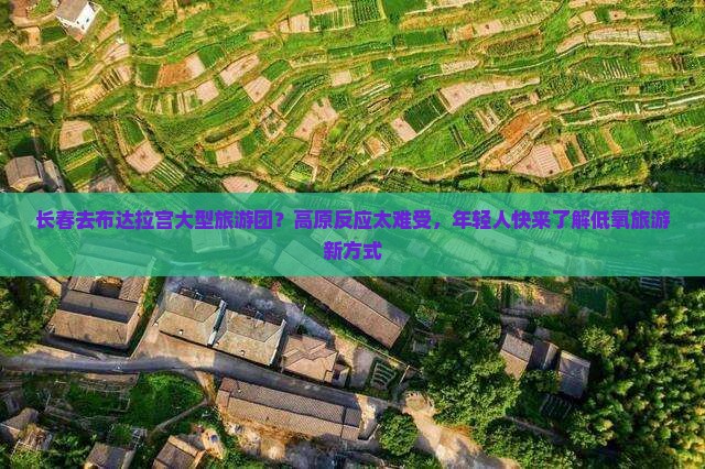 长春去布达拉宫大型旅游团？高原反应太难受，年轻人快来了解低氧旅游新方式