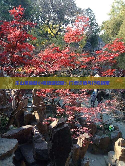 乐山至鲁朗小镇旅游攻略：门票详情与行程指南