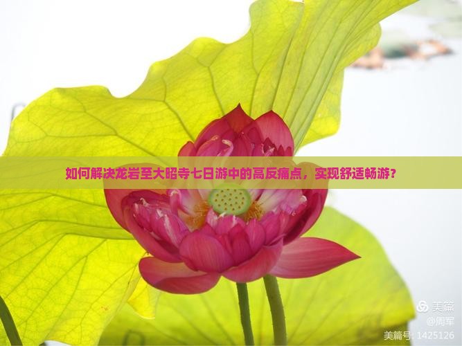如何解决龙岩至大昭寺七日游中的高反痛点,实现舒适畅游? 如何解决龙岩至大昭寺七日游中的高反痛点,实现舒适畅游?