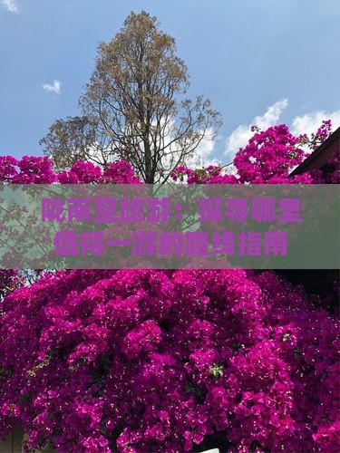 陇南至旅游：探寻哪里值得一游的路线指南