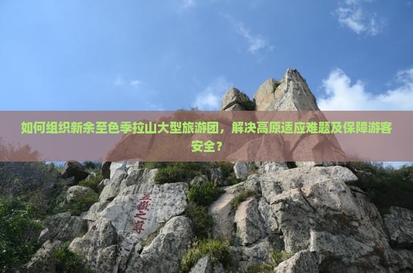如何组织新余至色季拉山大型旅游团，解决高原适应难题及保障游客安全？
