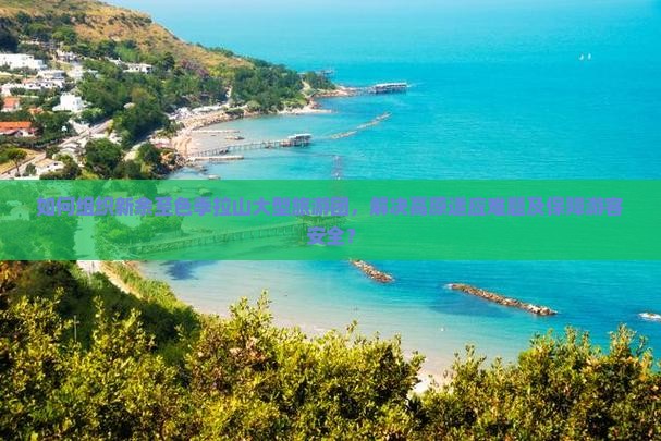 如何组织新余至色季拉山大型旅游团，解决高原适应难题及保障游客安全？