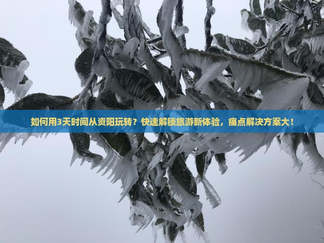 如何用3天时间从资阳玩转？快速解锁旅游新体验，痛点解决方案大！