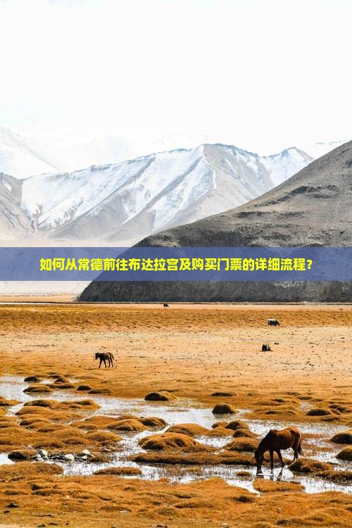 如何从常德前往布达拉宫及购买门票的详细流程？