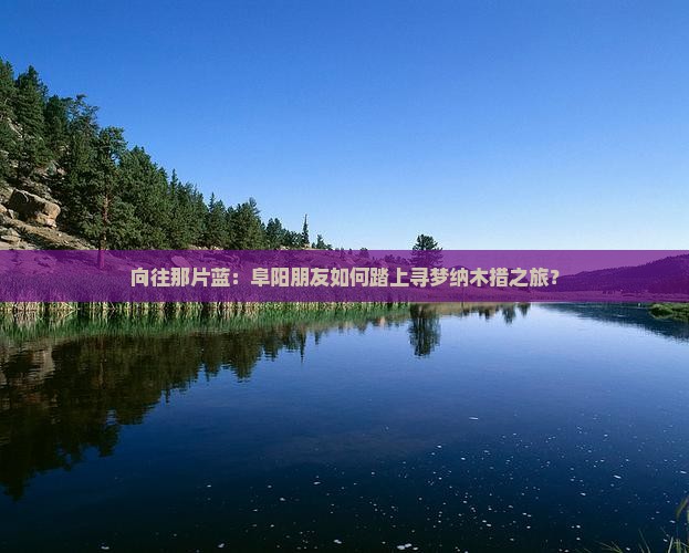 向往那片蓝：阜阳朋友如何踏上寻梦纳木措之旅？
