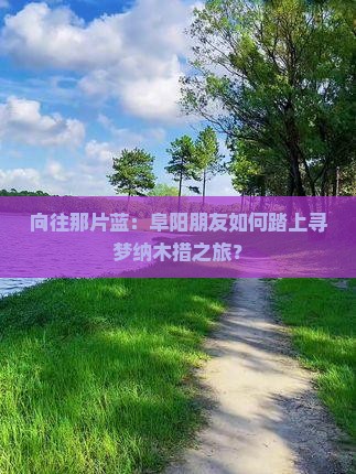 向往那片蓝：阜阳朋友如何踏上寻梦纳木措之旅？