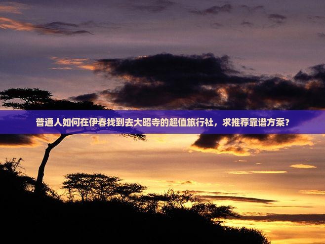 普通人如何在伊春找到去大昭寺的超值旅行社，求推荐靠谱方案？