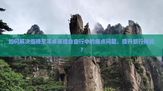 如何解决临猗至羊卓雍措自由行中的痛点问题，提升旅行体验？