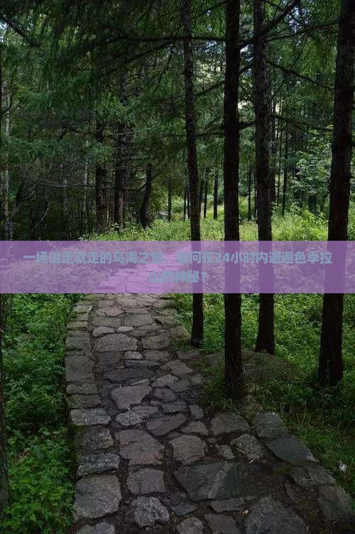一场说走就走的乌海之旅，如何在24小时内邂逅色季拉山的神秘？