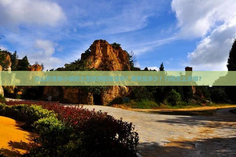 白山到鲁朗小镇的大型旅游团靠谱吗？费用是多少？行程怎么安排？