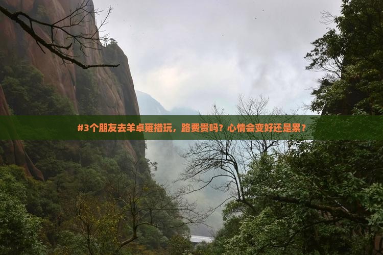 #3个朋友去羊卓雍措玩，路费贵吗？心情会变好还是累？