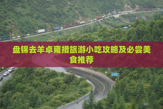 盘锦去羊卓雍措旅游小吃攻略及必尝美食推荐
