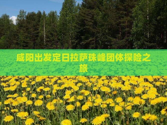 咸阳出发定日拉萨珠峰团体探险之旅