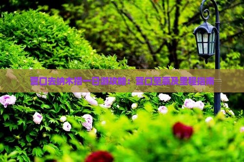 营口去纳木措一日游攻略：营口至票及里程指南