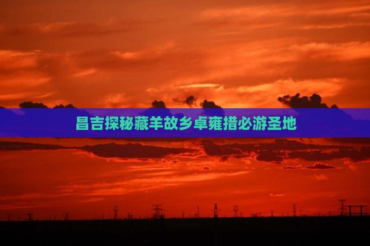 昌吉探秘藏羊故乡卓雍措必游圣地