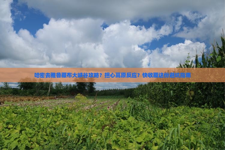 哈密去雅鲁藏布大峡谷攻略？担心高原反应？快收藏这份避坑指南