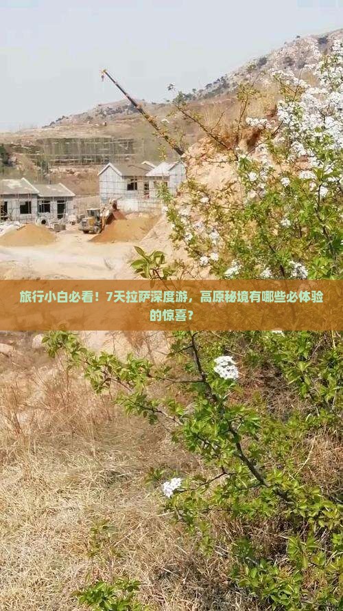 旅行小白必看！7天拉萨深度游，高原秘境有哪些必体验的惊喜？