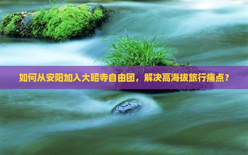 如何从安阳加入大昭寺自由团，解决高海拔旅行痛点？