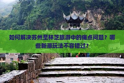 如何解决苏州至林芝旅游中的痛点问题？哪些新潮玩法不容错过？