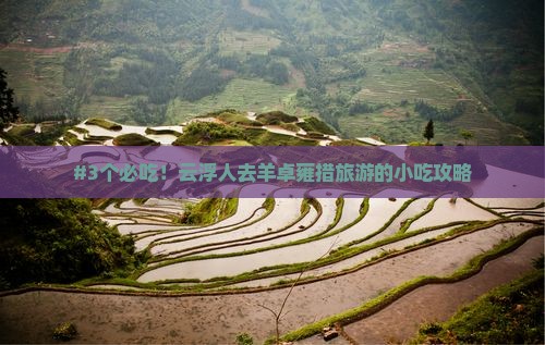 #3个必吃！云浮人去羊卓雍措旅游的小吃攻略