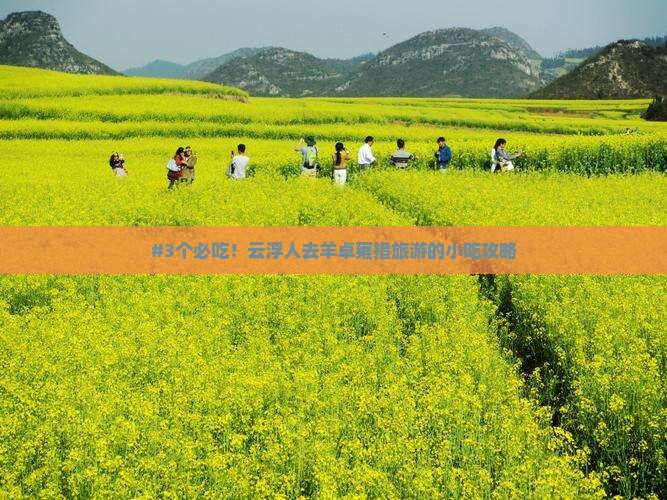 #3个必吃！云浮人去羊卓雍措旅游的小吃攻略