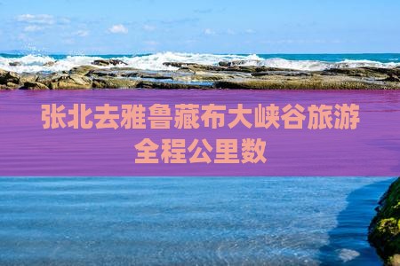 张北去雅鲁藏布大峡谷旅游全程公里数