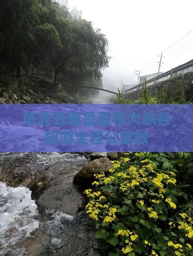 张北去雅鲁藏布大峡谷旅游全程公里数