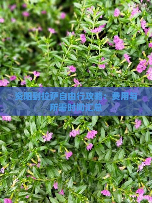 资阳到拉萨自由行攻略：费用与所需时间汇总