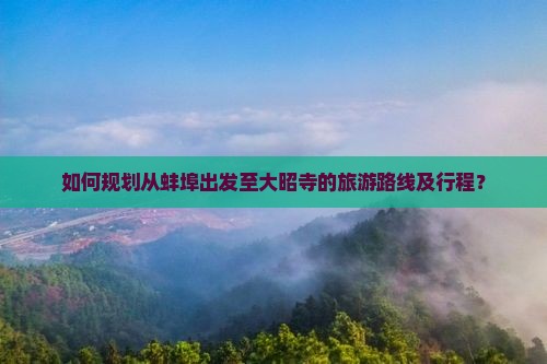 如何规划从蚌埠出发至大昭寺的旅游路线及行程？