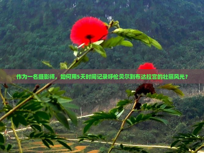 作为一名摄影师，如何用5天时间记录呼伦贝尔到布达拉宫的壮丽风光？
