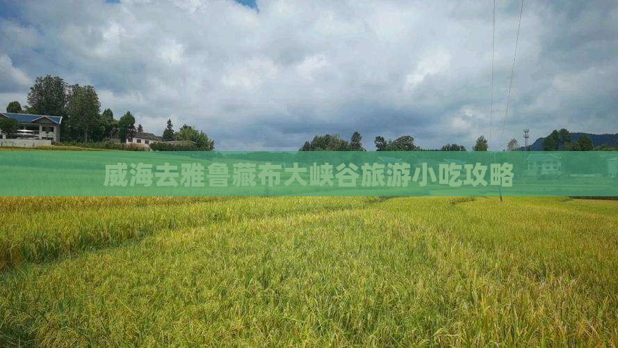 威海去雅鲁藏布大峡谷旅游小吃攻略 威海去雅鲁藏布大峡谷旅游小吃攻略