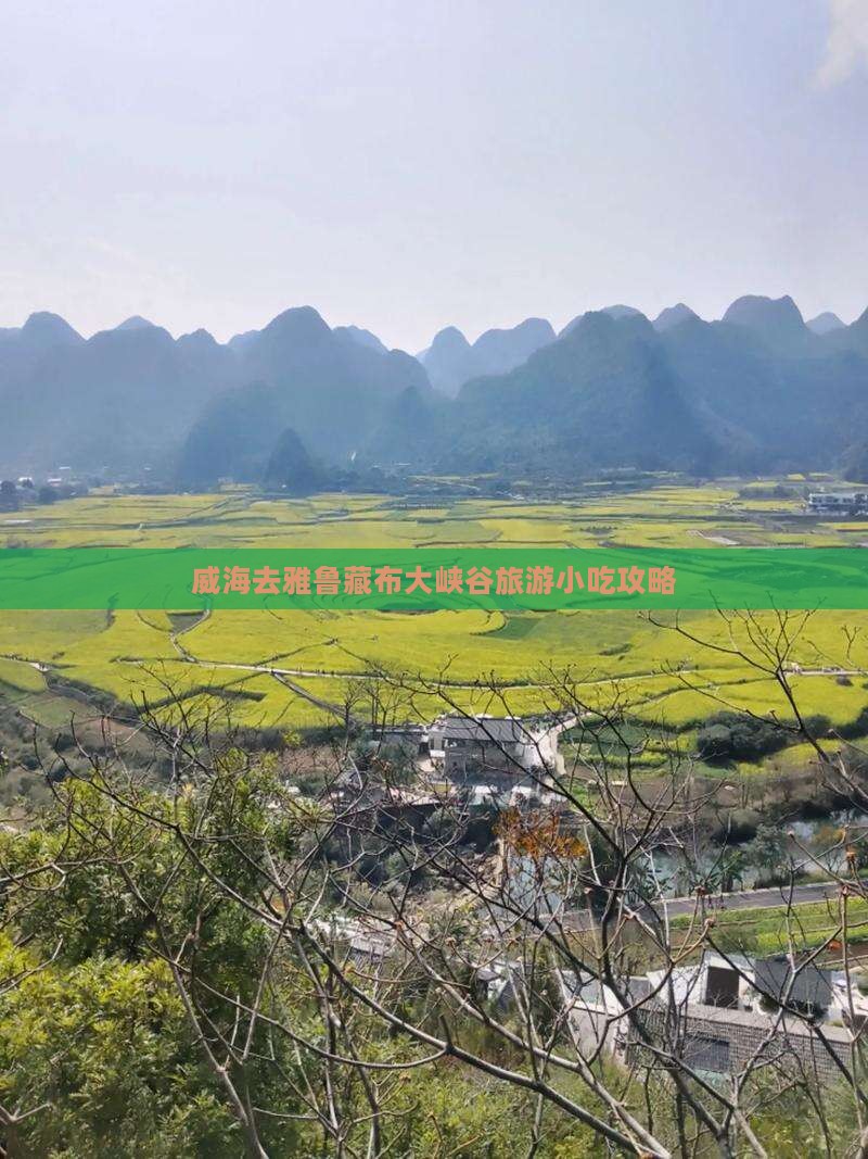 威海去雅鲁藏布大峡谷旅游小吃攻略 威海去雅鲁藏布大峡谷旅游小吃攻略