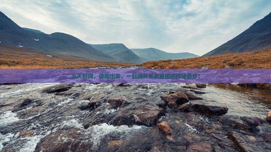 五天时间,德阳出发,一起揭开羊卓雍措的神秘面纱! 五天时间,德阳出发,一起揭开羊卓雍措的神秘面纱!