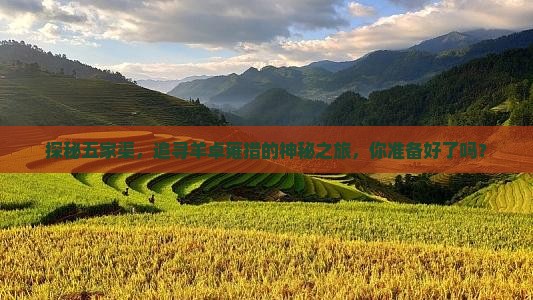 探秘五家渠，追寻羊卓雍措的神秘之旅，你准备好了吗？