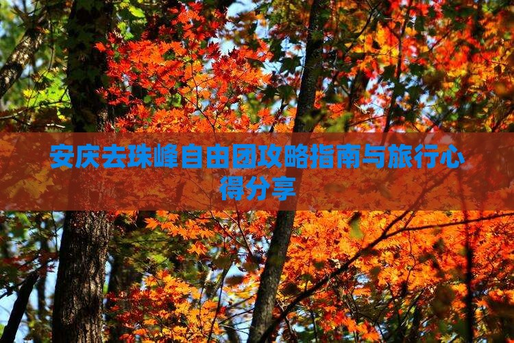 安庆去珠峰自由团攻略指南与旅行心得分享