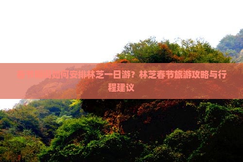 春节期间如何安排林芝一日游？林芝春节旅游攻略与行程建议