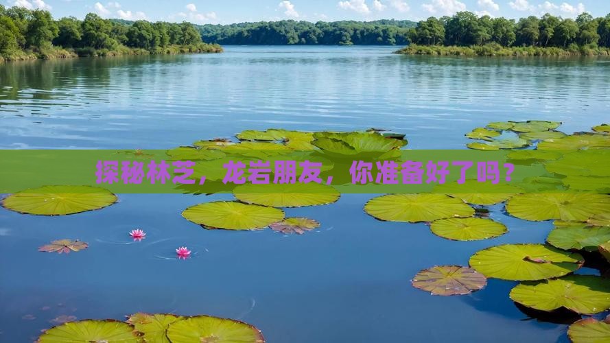 探秘林芝，龙岩朋友，你准备好了吗？