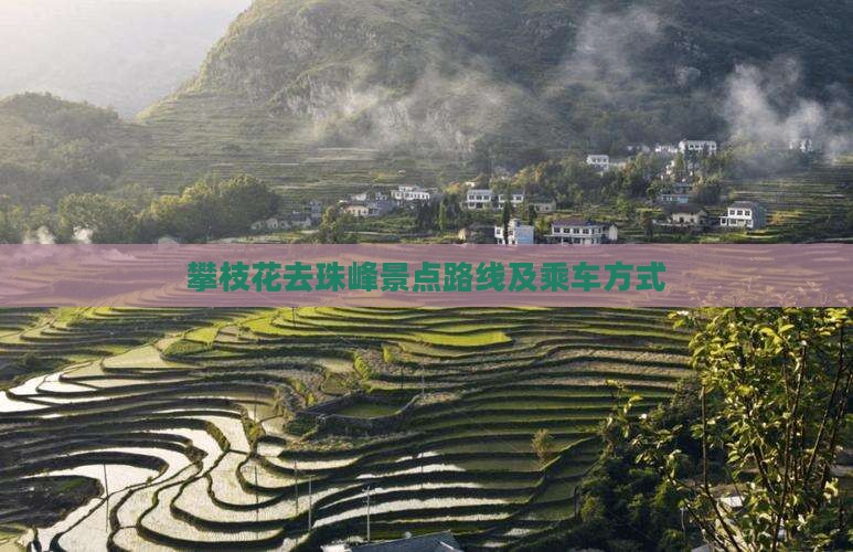 攀枝花去珠峰景点路线及乘车方式