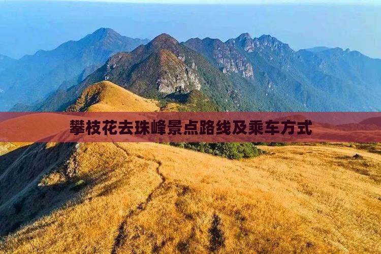 攀枝花去珠峰景点路线及乘车方式