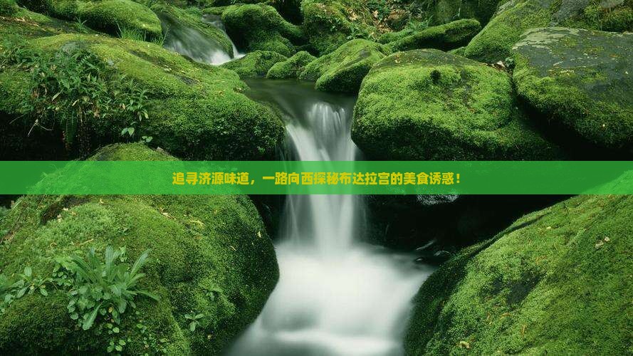 追寻济源味道，一路向西探秘布达拉宫的美食诱惑！