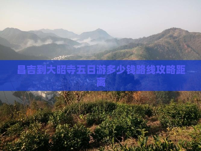 昌吉到大昭寺五日游多少钱路线攻略距离