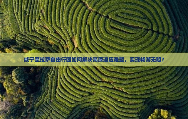 咸宁至拉萨自由行团如何解决高原适应难题，实现畅游无阻？