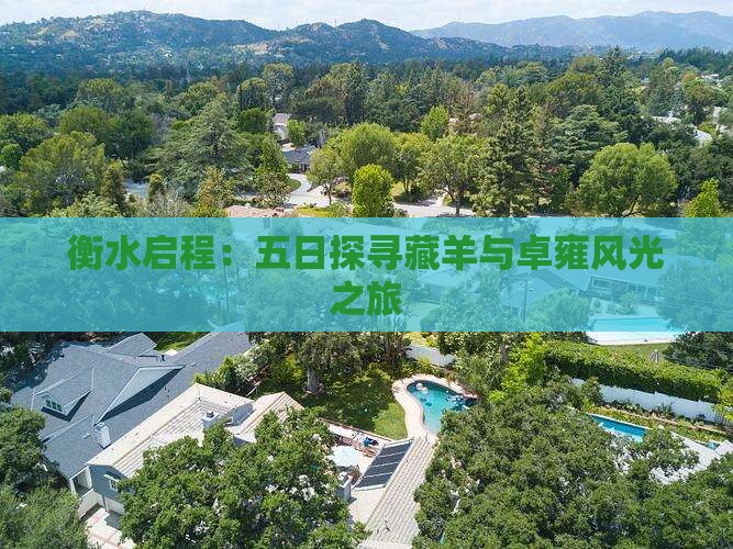 衡水启程：五日探寻藏羊与卓雍风光之旅